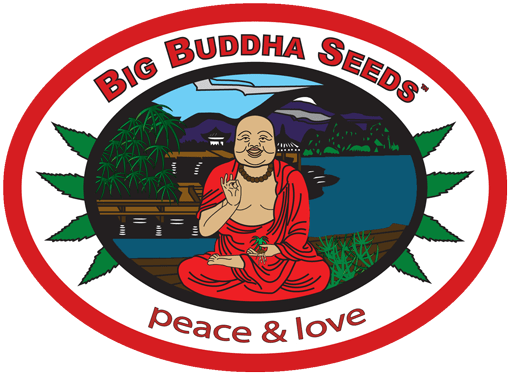 Big Buddha Seeds logo