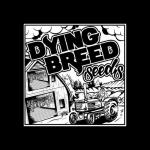 Dying Breed Seeds logo