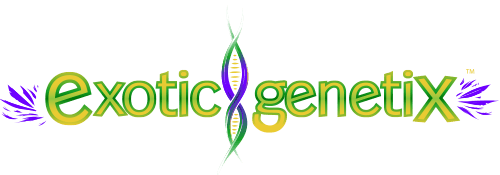 Exotic Genetix logo