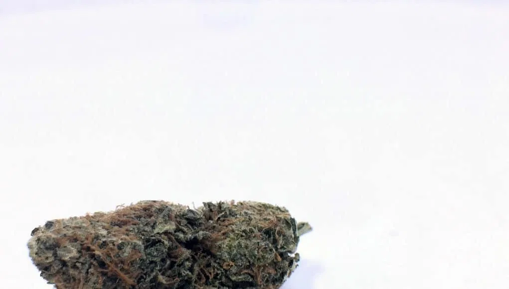 AK-47 cannabis flower from the original UK review archive.