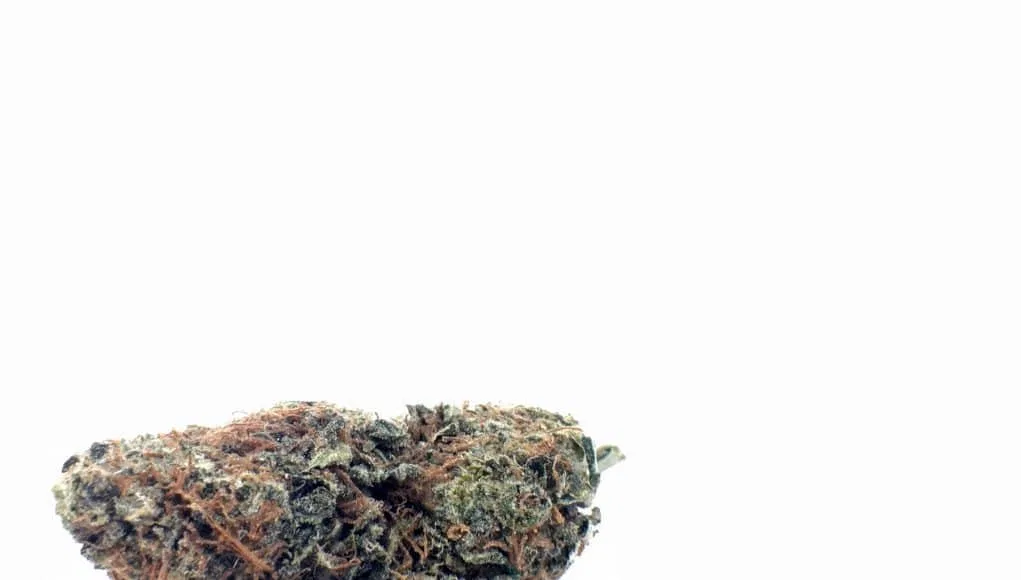 AK-47 cannabis flower from the original UK review archive.