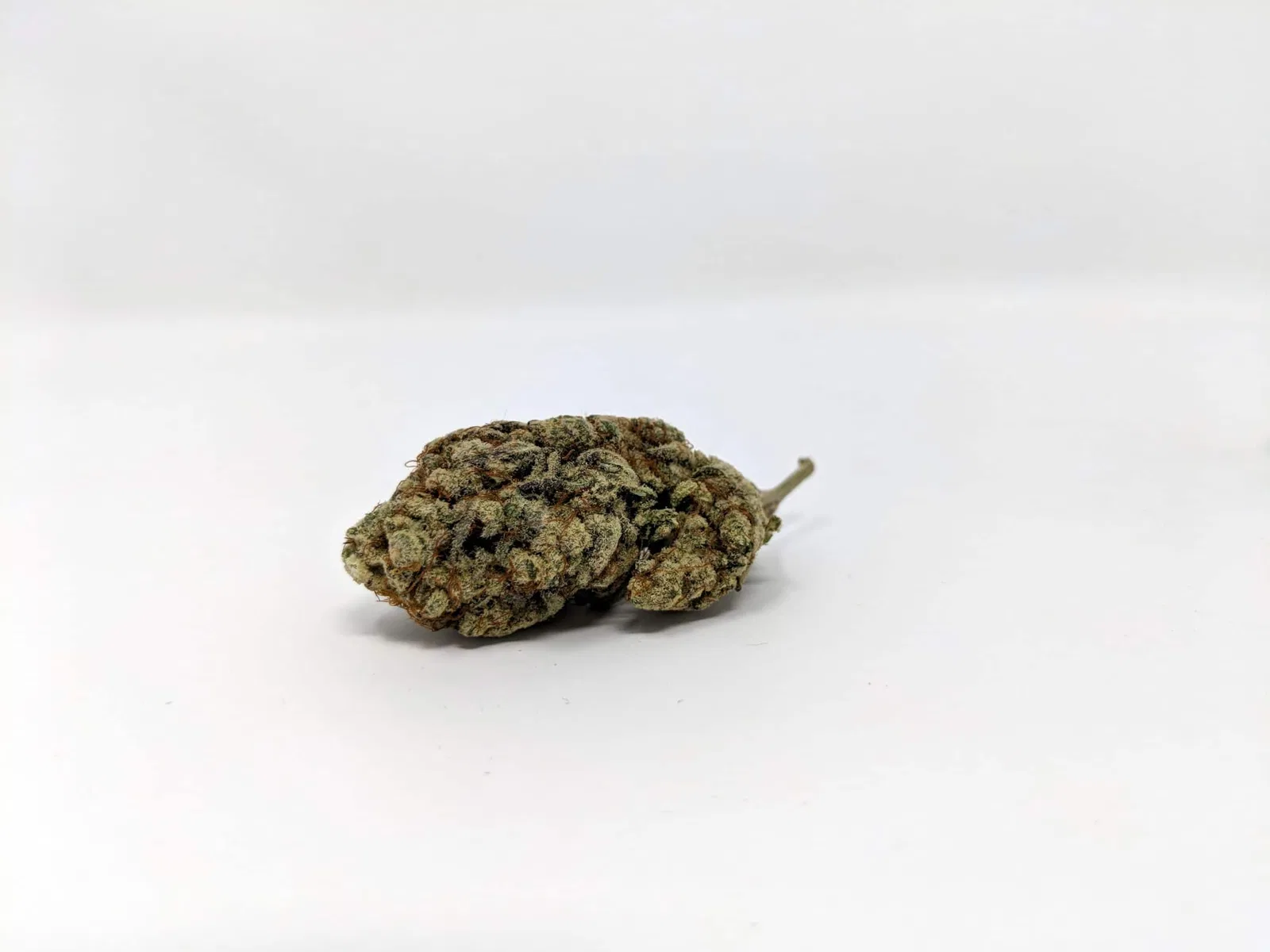 Alien Cream Cake cannabis flower, shown as a similar-cultivar reference for MAC 1 (Miracle Alien Cookies); not MAC 1 (Miracle Alien Cookies)