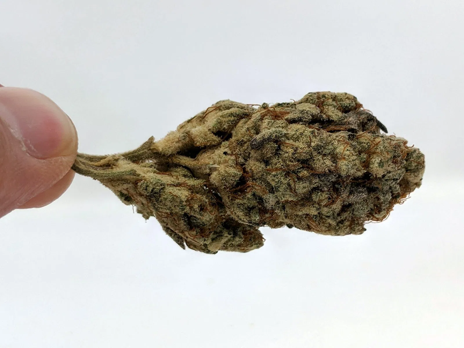 Alien Cream Cake cannabis flower from the original UK review archive.