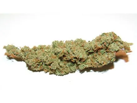 Amnesia Haze