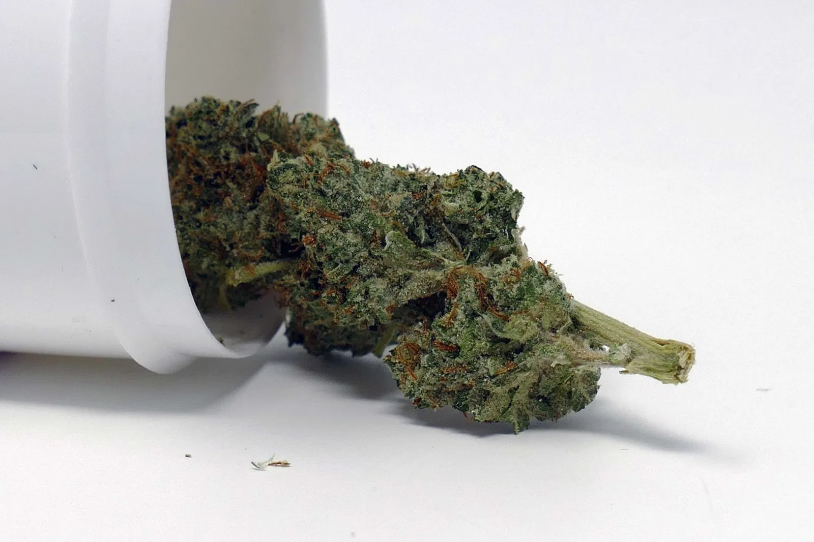 B29 OG cannabis flower from the original UK review archive.