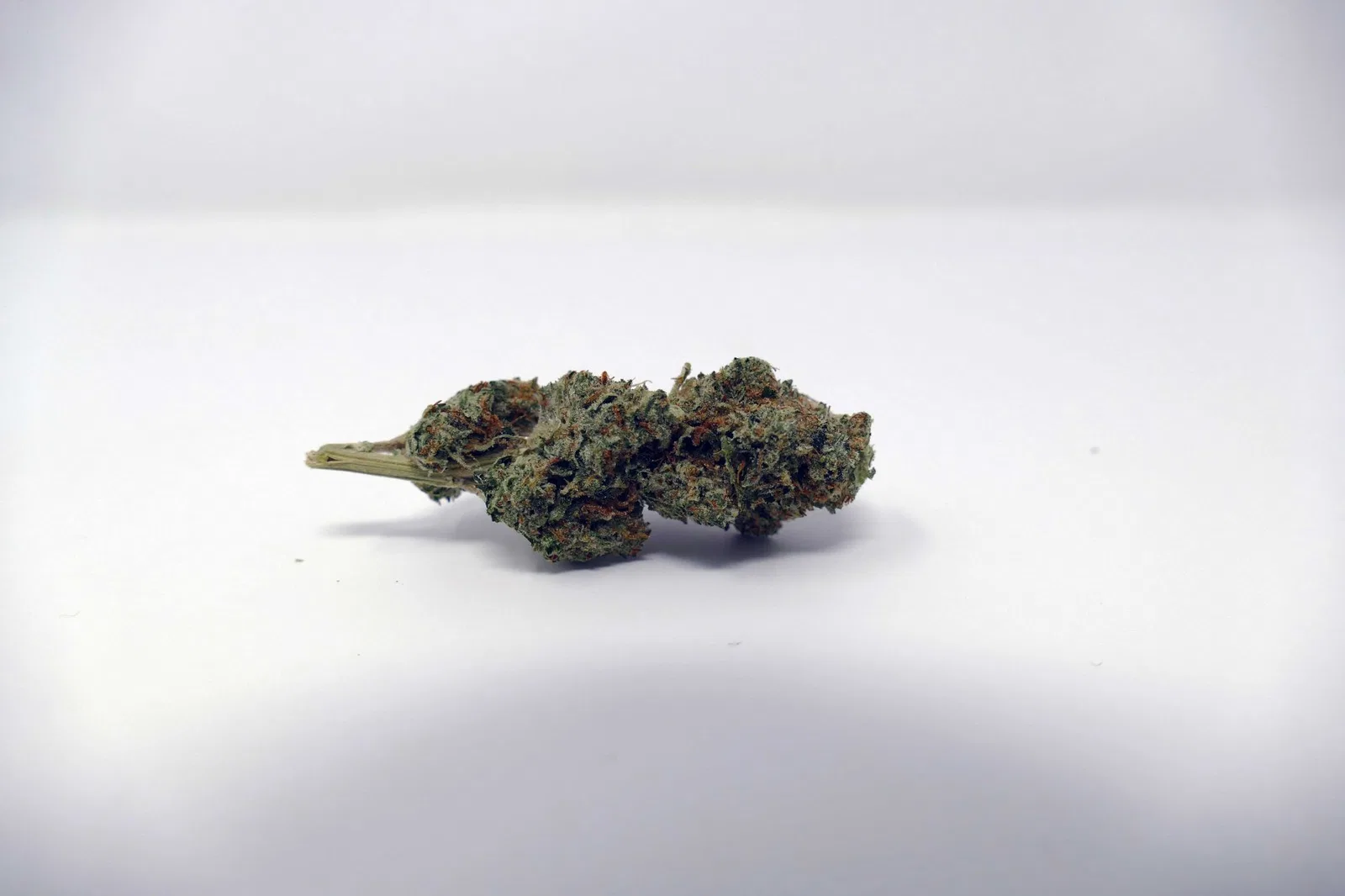 B29 OG