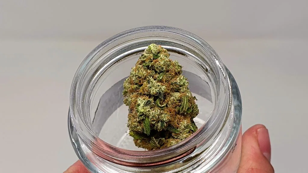 Banana MAC cannabis flower from the original UK review archive.