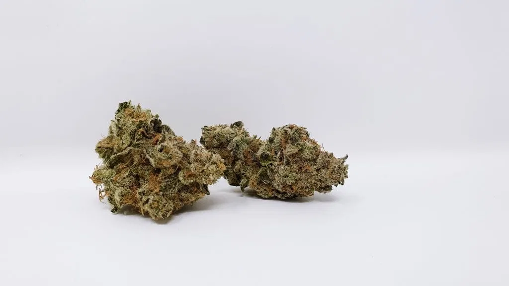 Banana Punch