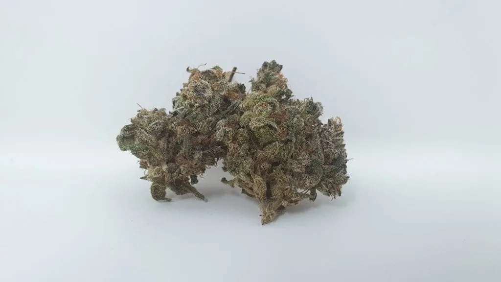 Berry Split cannabis flower, shown as a similar-cultivar reference for Berry White; not Berry White