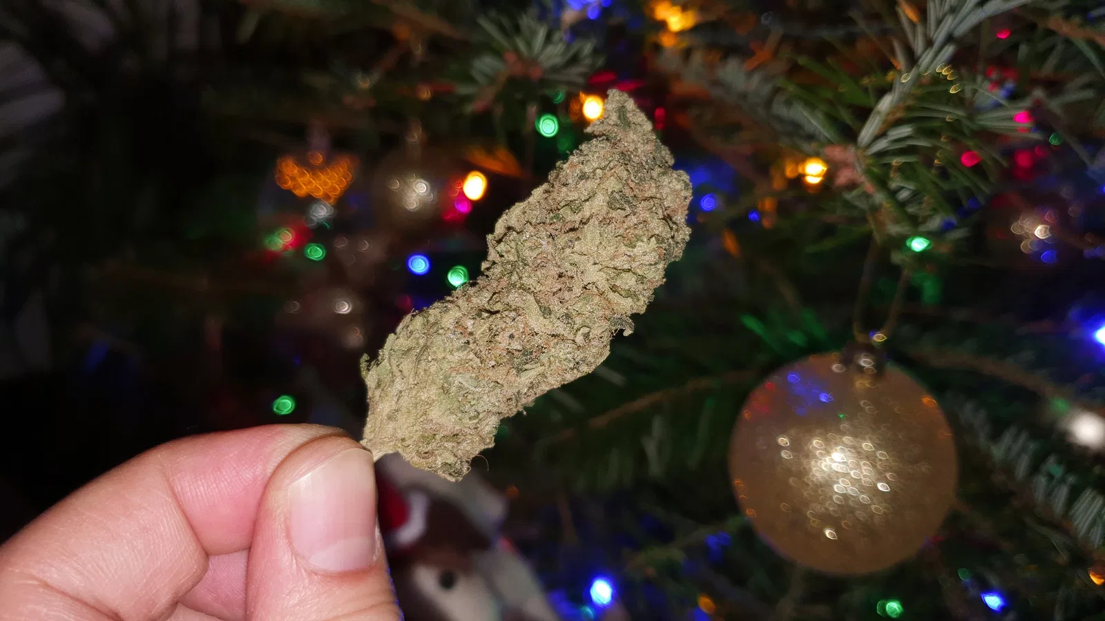 Biker Mouse cannabis flower from the original UK review archive.