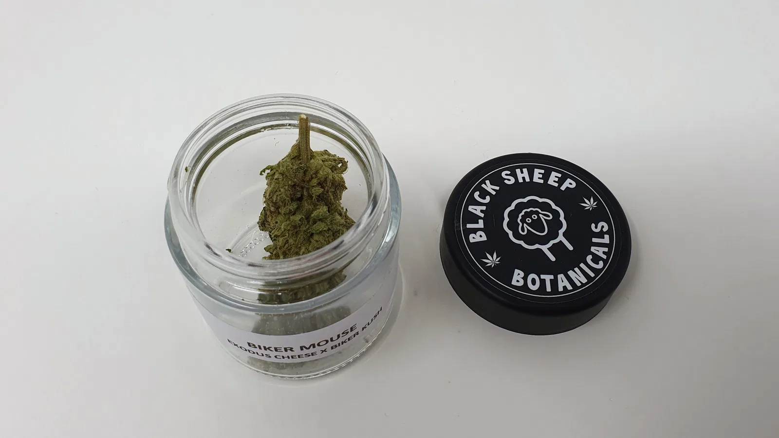 Biker Mouse cannabis flower from the original UK review archive.