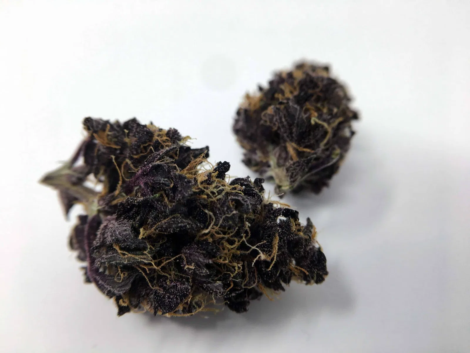Blackberry Kush cannabis flower from the original UK review archive.