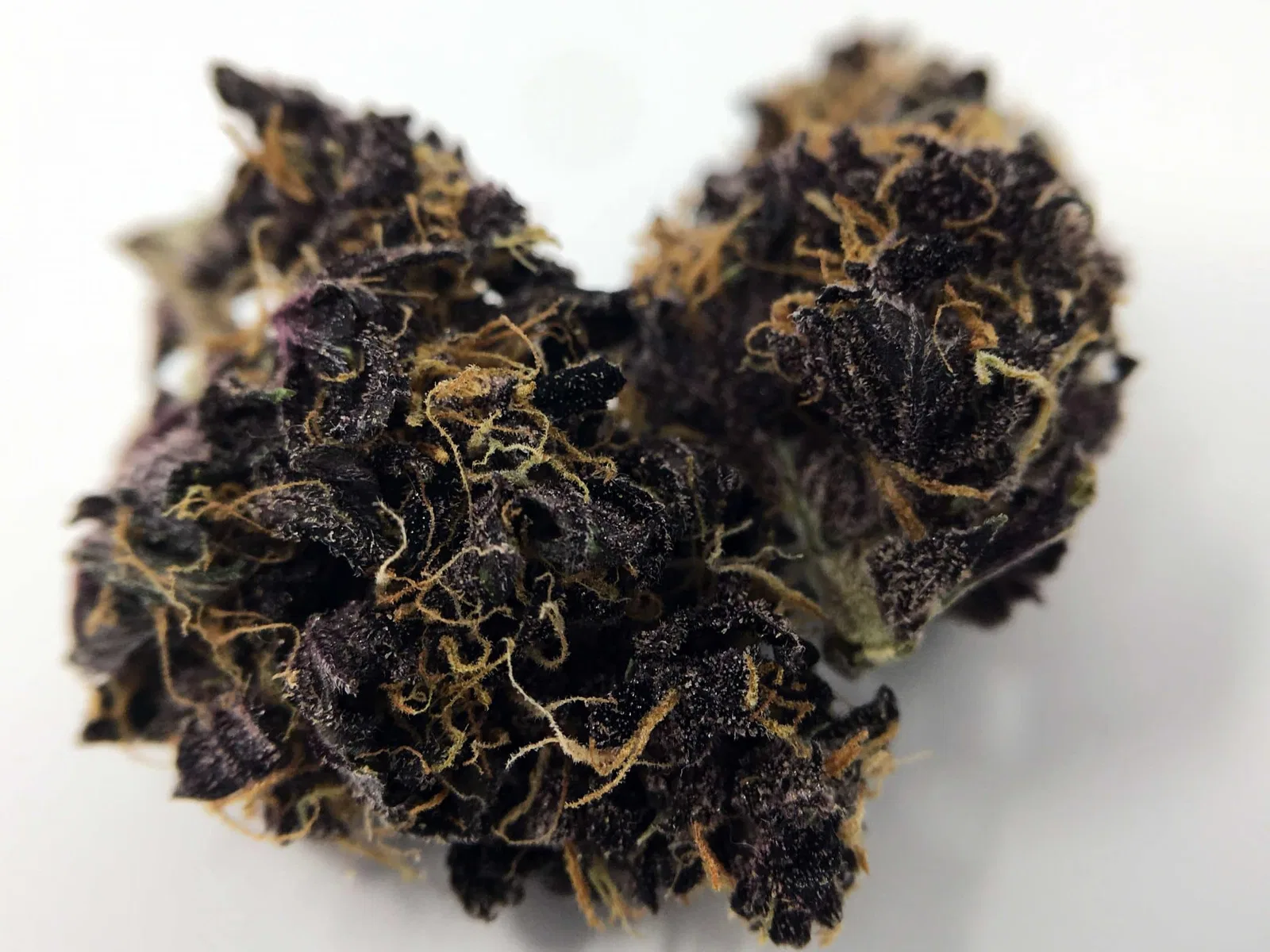 Blackberry Kush cannabis flower from the original UK review archive.