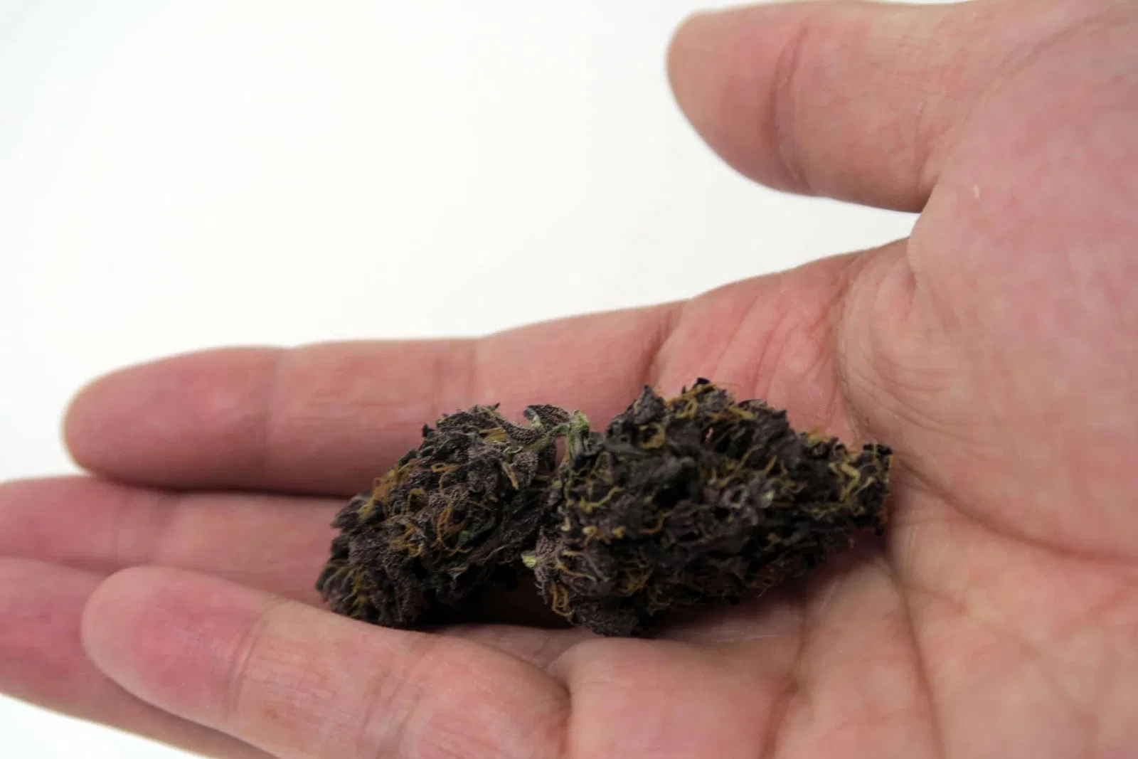 Blackberry Kush cannabis flower from the original UK review archive.
