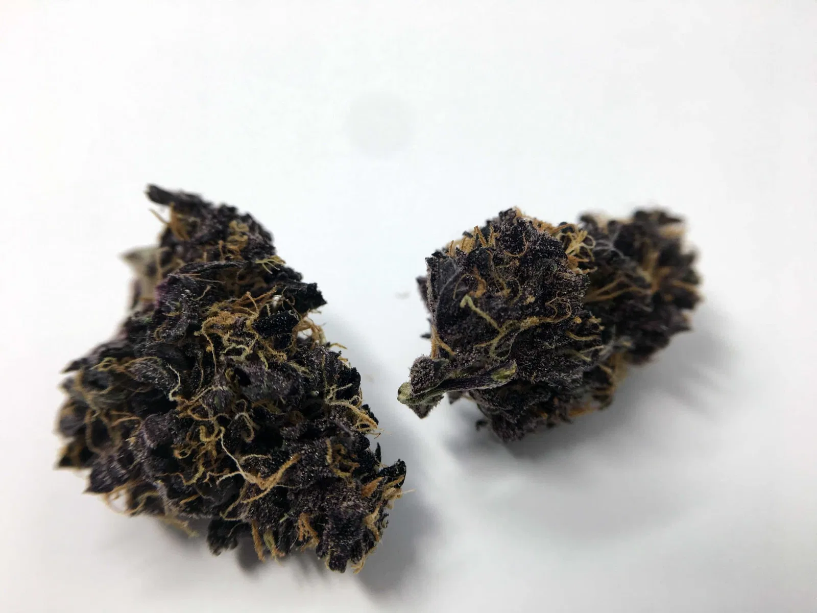 Blackberry Kush cannabis flower from the original UK review archive.