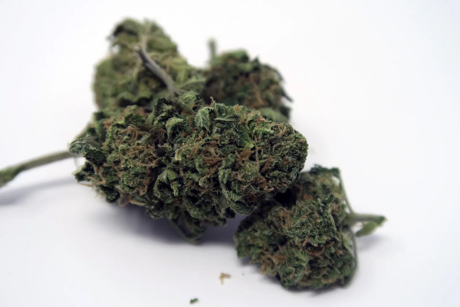 Blue Cheese