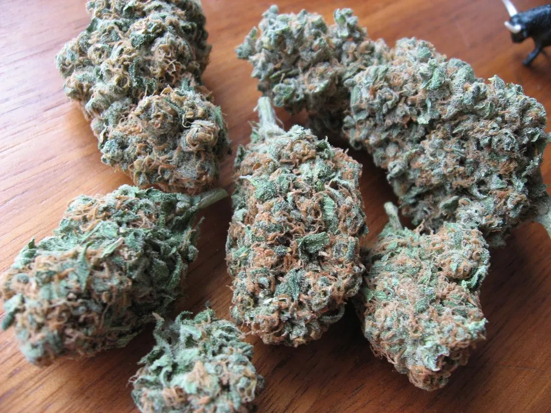 Blueberry cannabis flower from the original UK review archive.