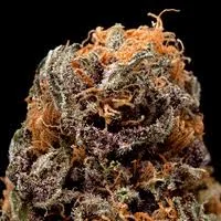 Blueberry cannabis flower from the original UK review archive.