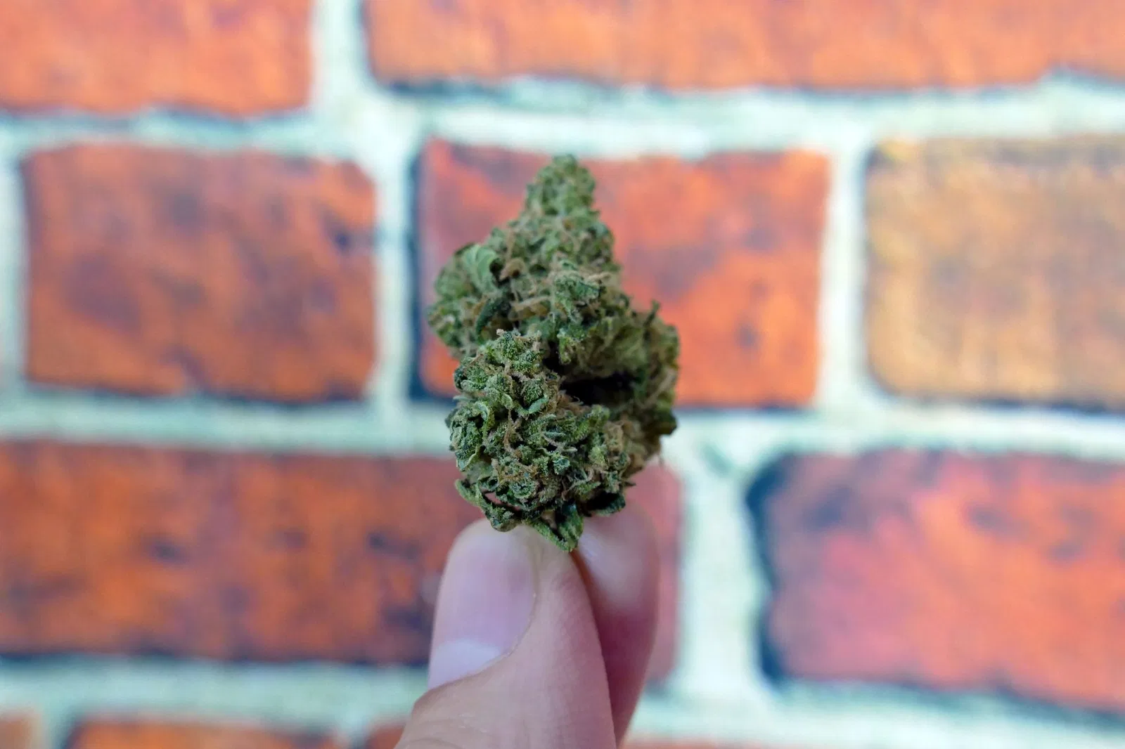 Blues cannabis flower from the original UK review archive.