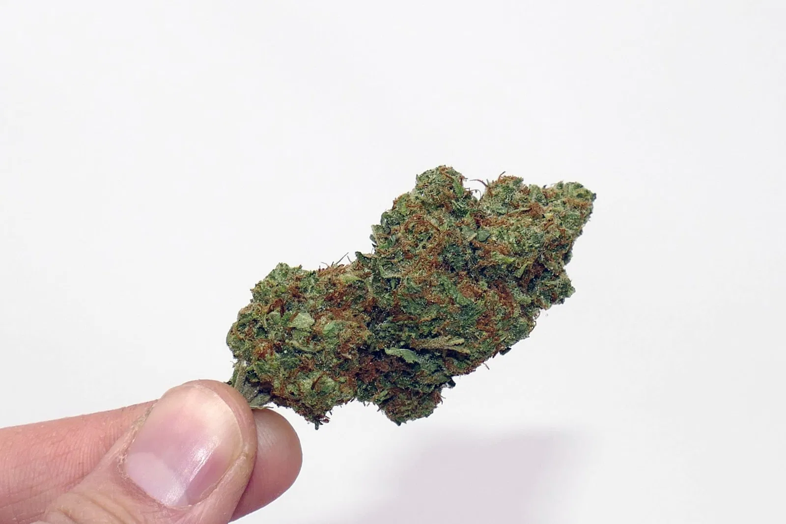 CaliPo cannabis flower from the original UK review archive.