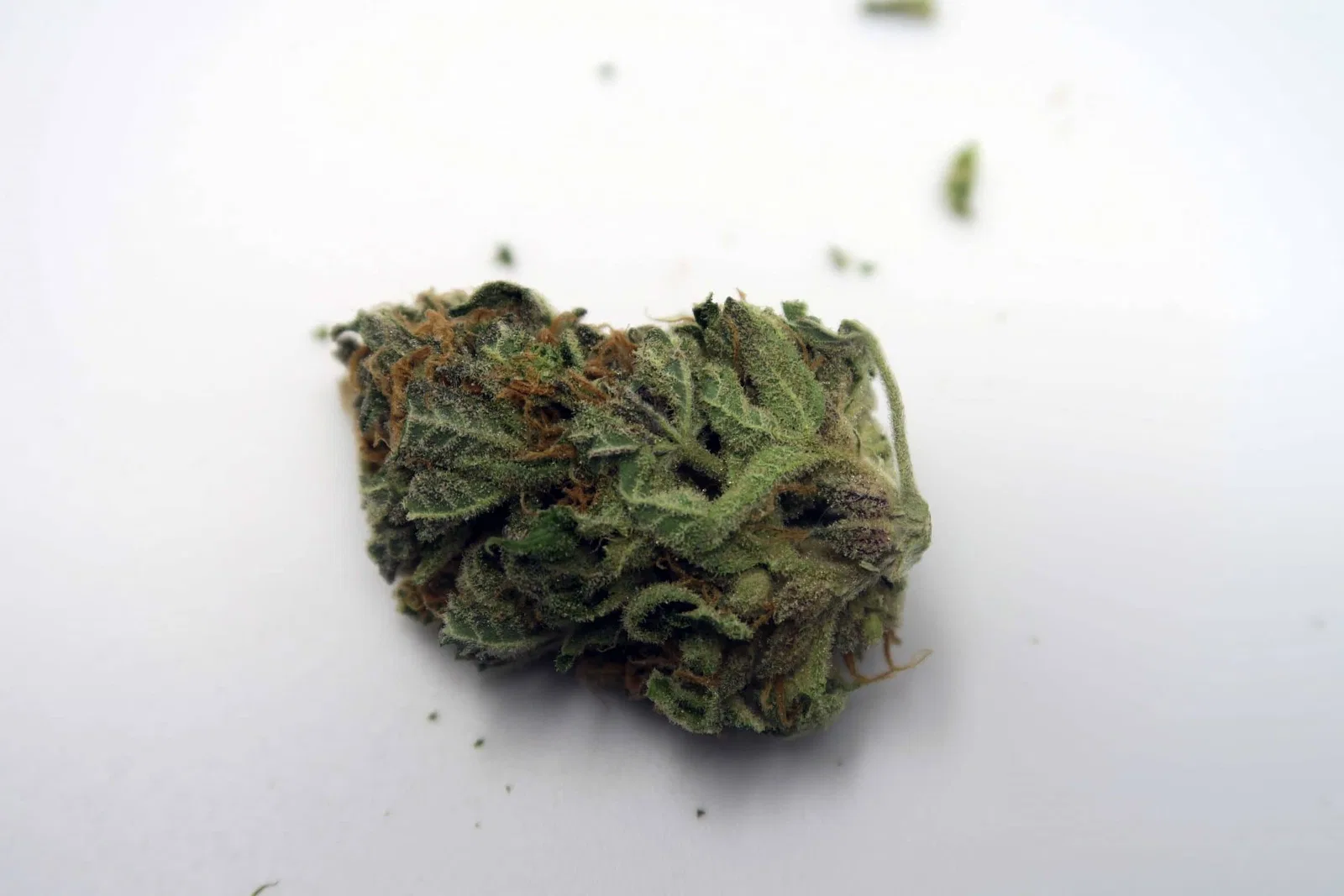 Candy Cream cannabis flower from the original UK review archive.