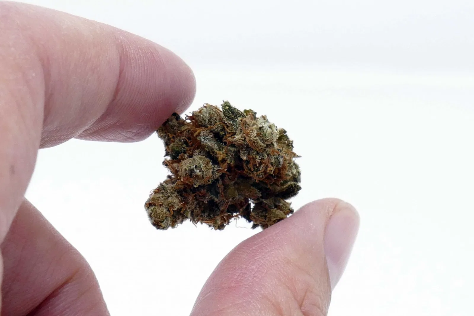 Casey Jones cannabis flower from the original UK review archive.