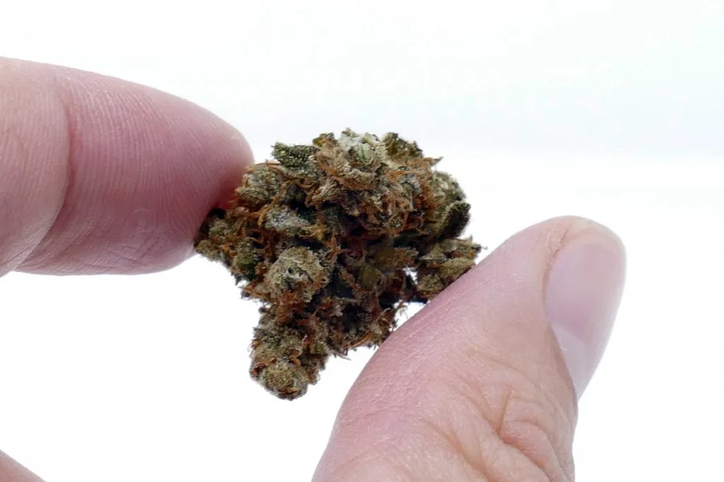 Casey Jones cannabis flower from the original UK review archive.