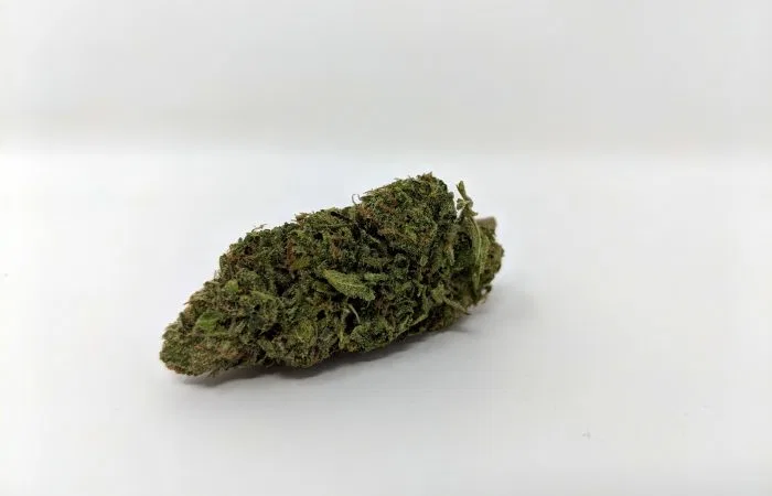 Cheese cannabis flower from the original UK review archive.