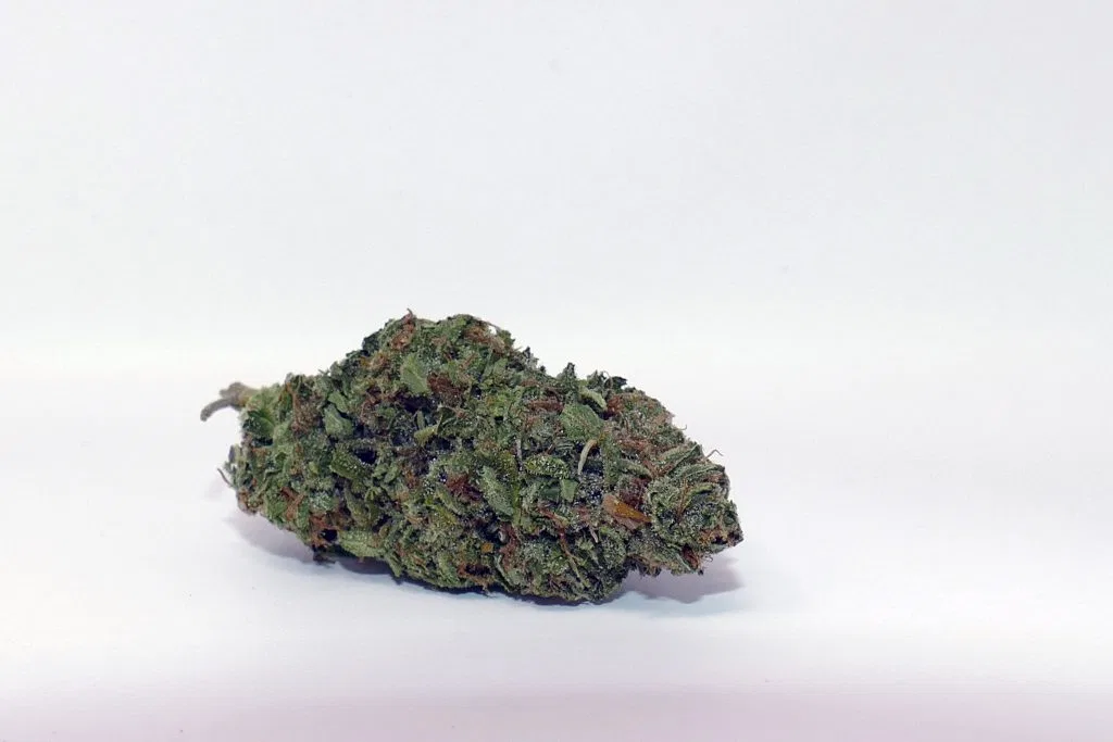 Cheese cannabis flower from the original UK review archive.