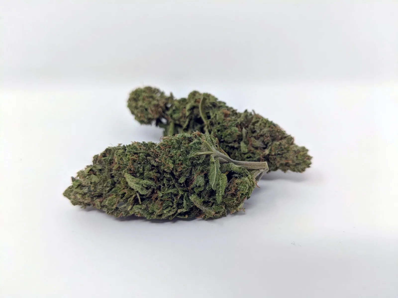 Cheese cannabis flower from the original UK review archive.