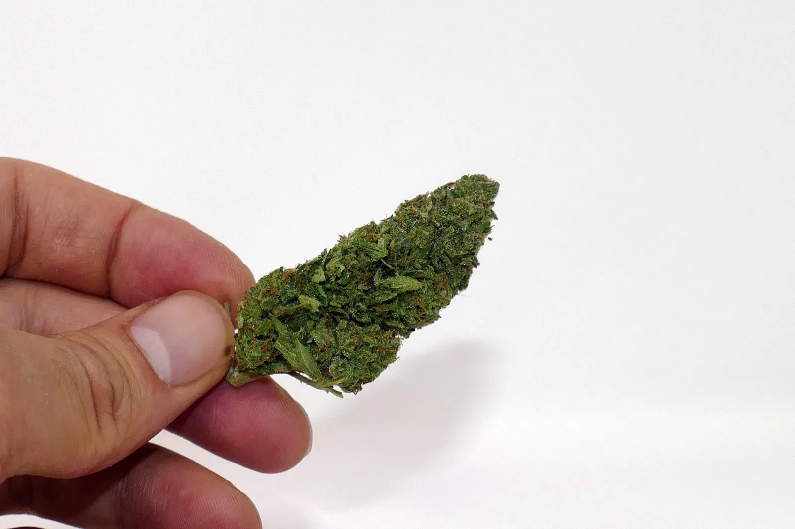 Cheese cannabis flower from the original UK review archive.