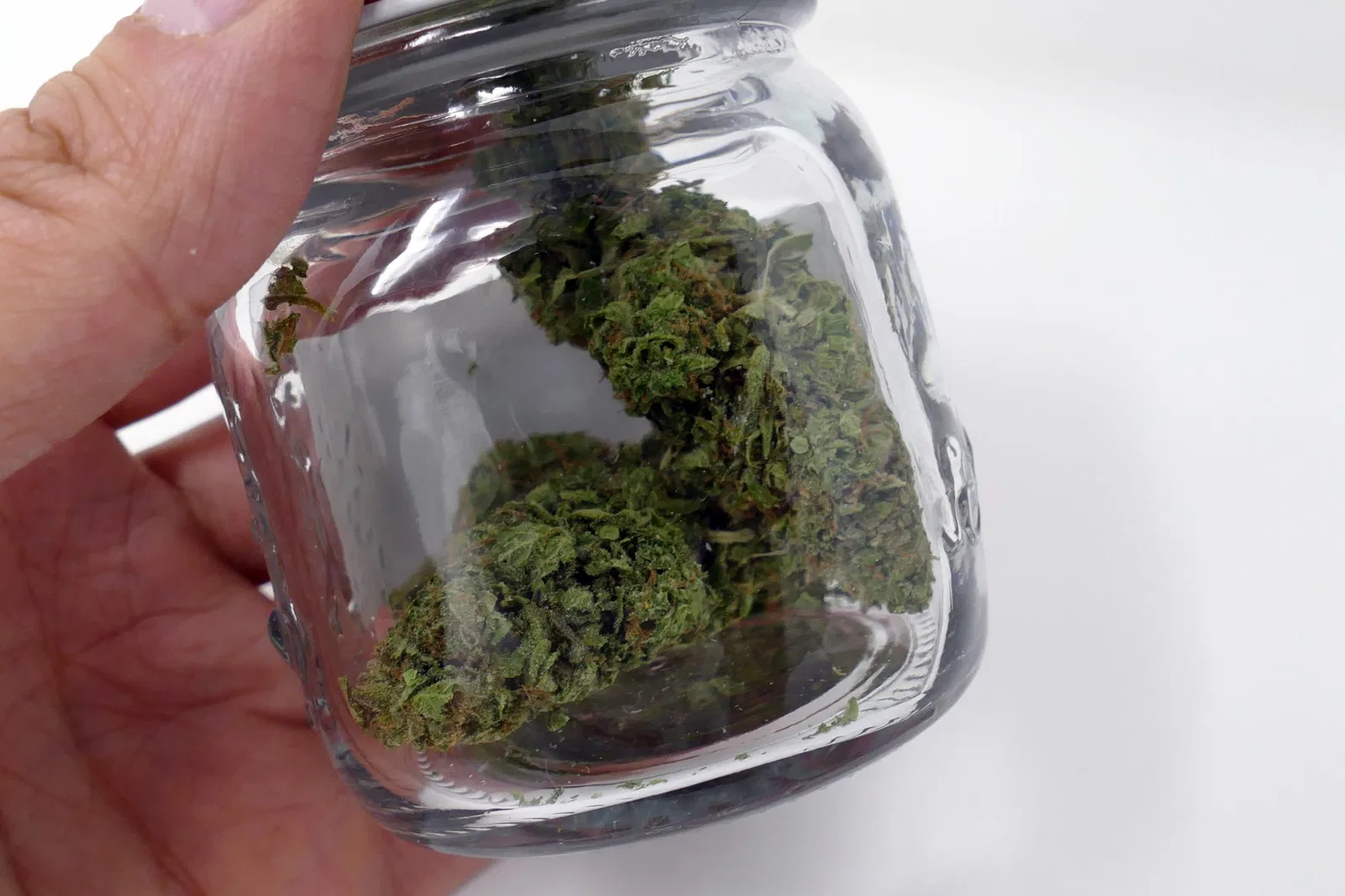 Cheese cannabis flower from the original UK review archive.