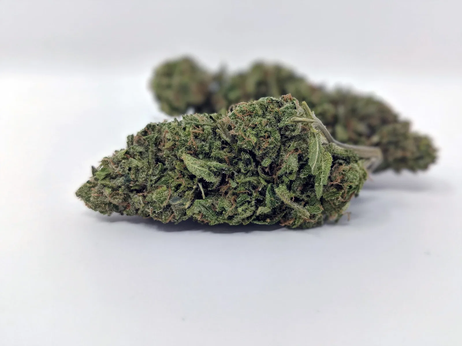 Cheese cannabis flower from the original UK review archive.