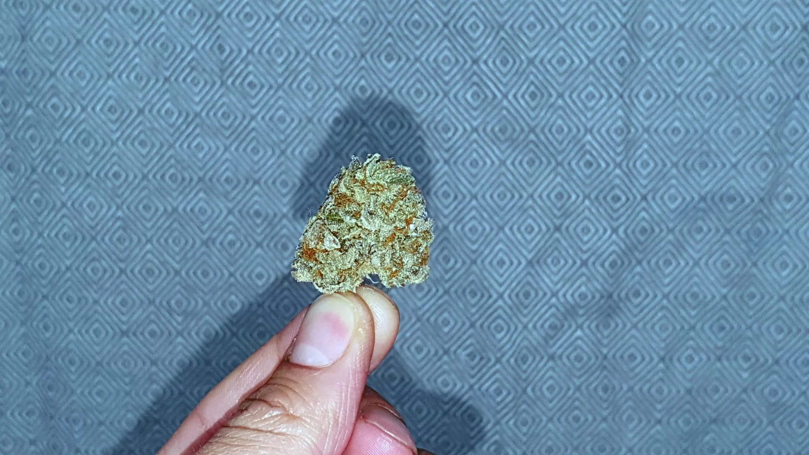 Cherry Cola cannabis flower from the original UK review archive.