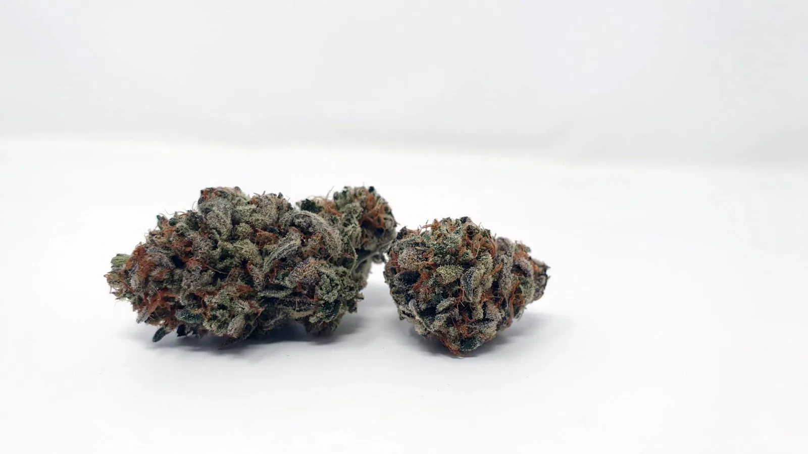 Cherry Cola cannabis flower, shown as a similar-cultivar reference for Tangerine Dream; not Tangerine Dream