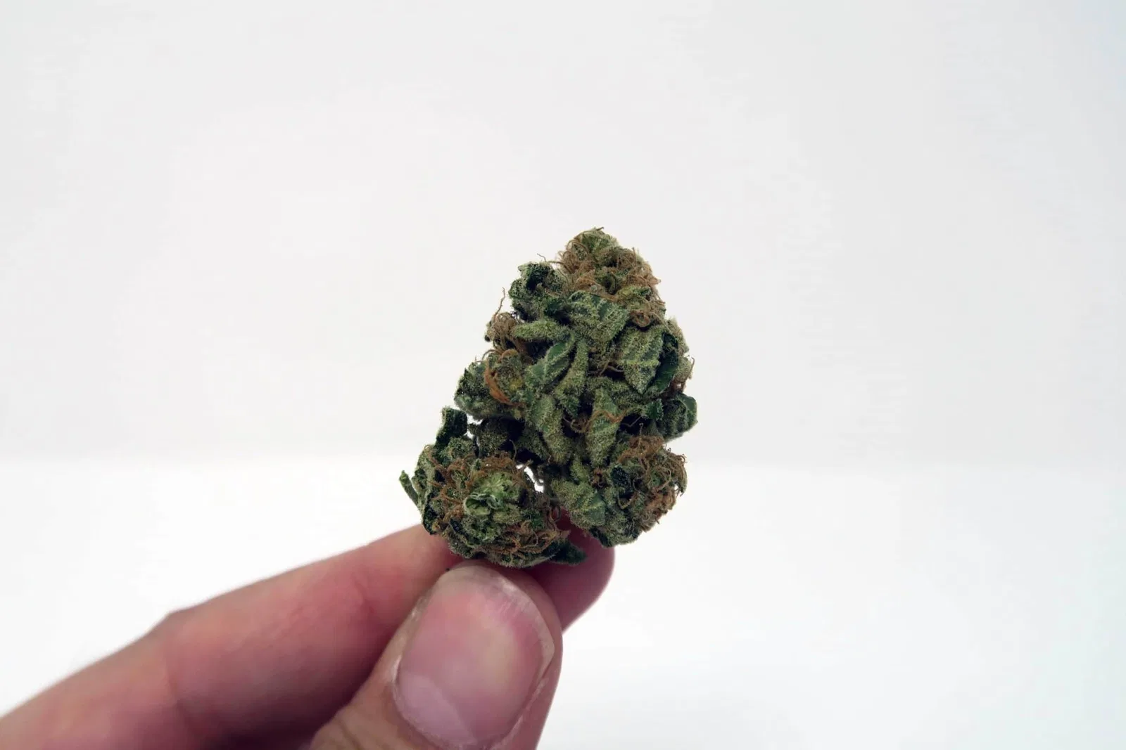 Chocolate Kush cannabis flower from the original UK review archive.