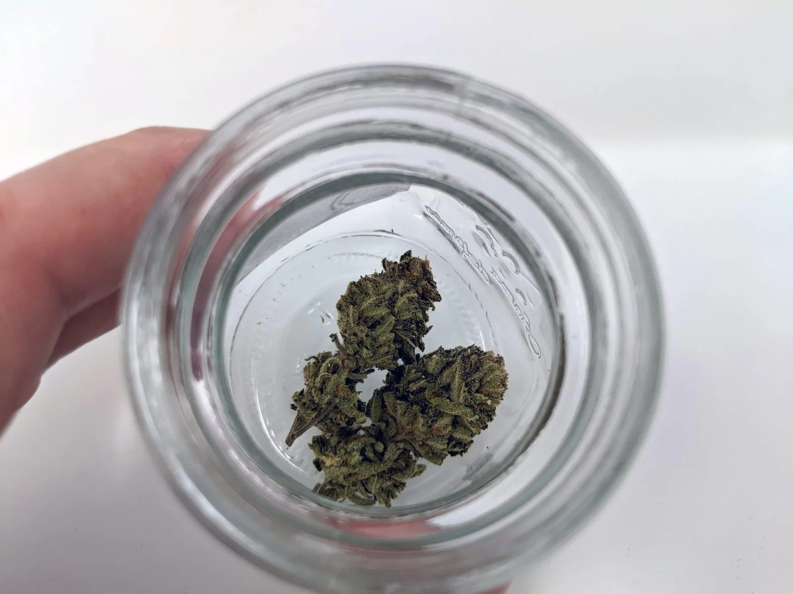 Chocolate Mint OG cannabis flower from the original UK review archive.