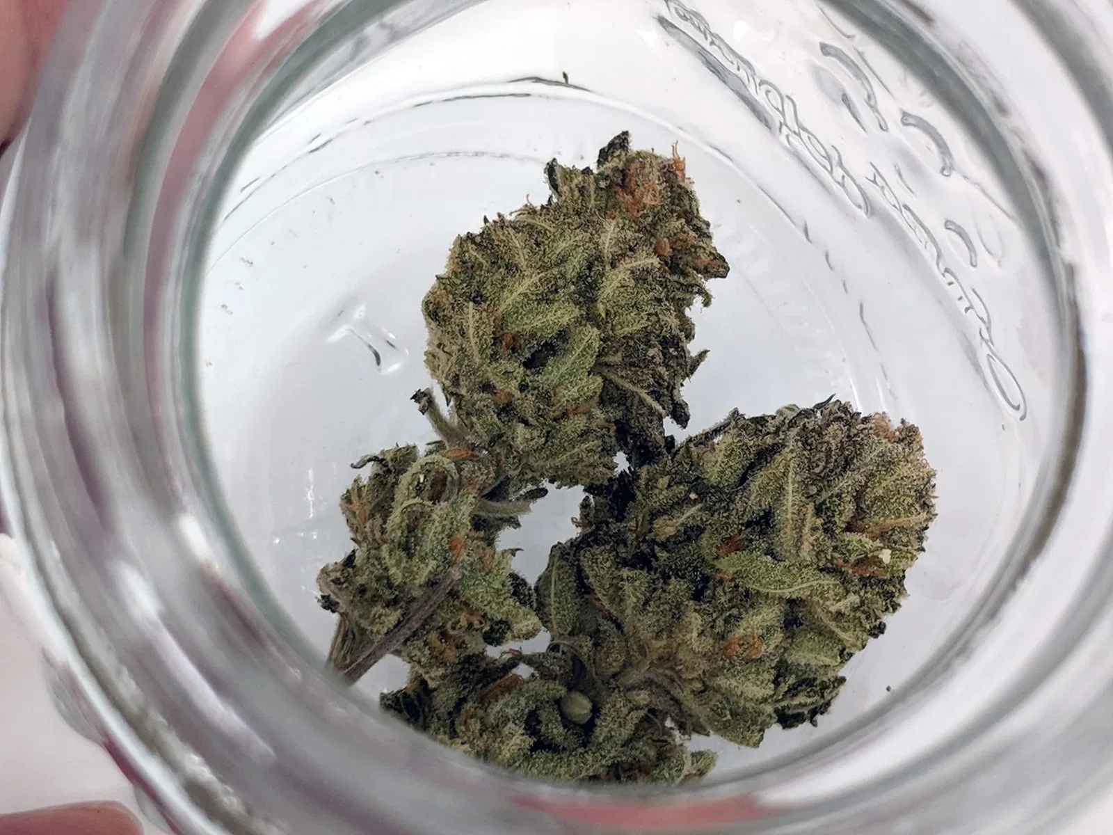 Chocolate Mint OG cannabis flower from the original UK review archive.