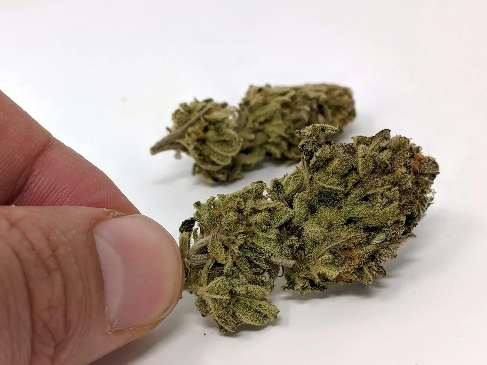 Chocolate Mint OG cannabis flower from the original UK review archive.