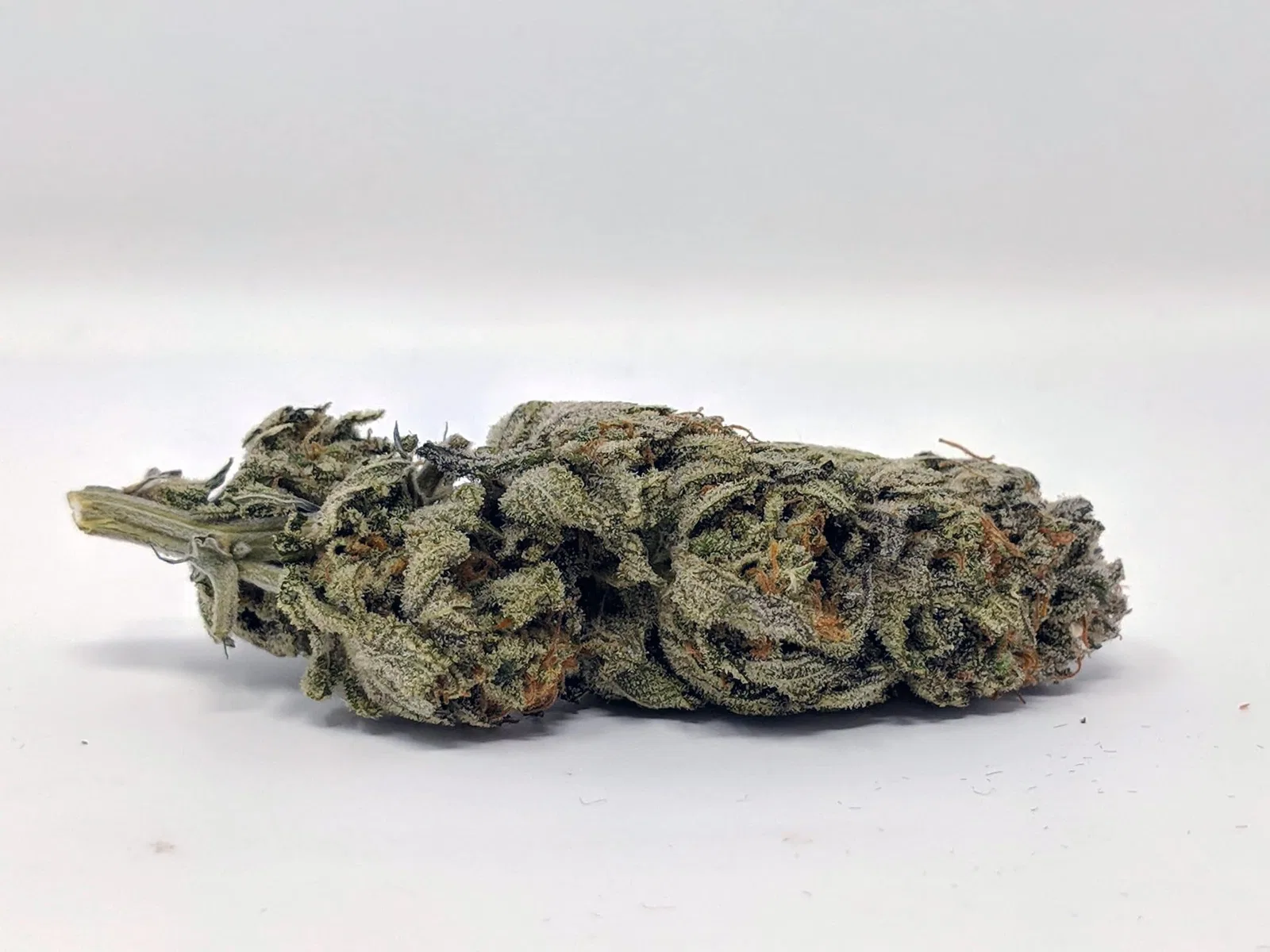 Chocolate Mint OG