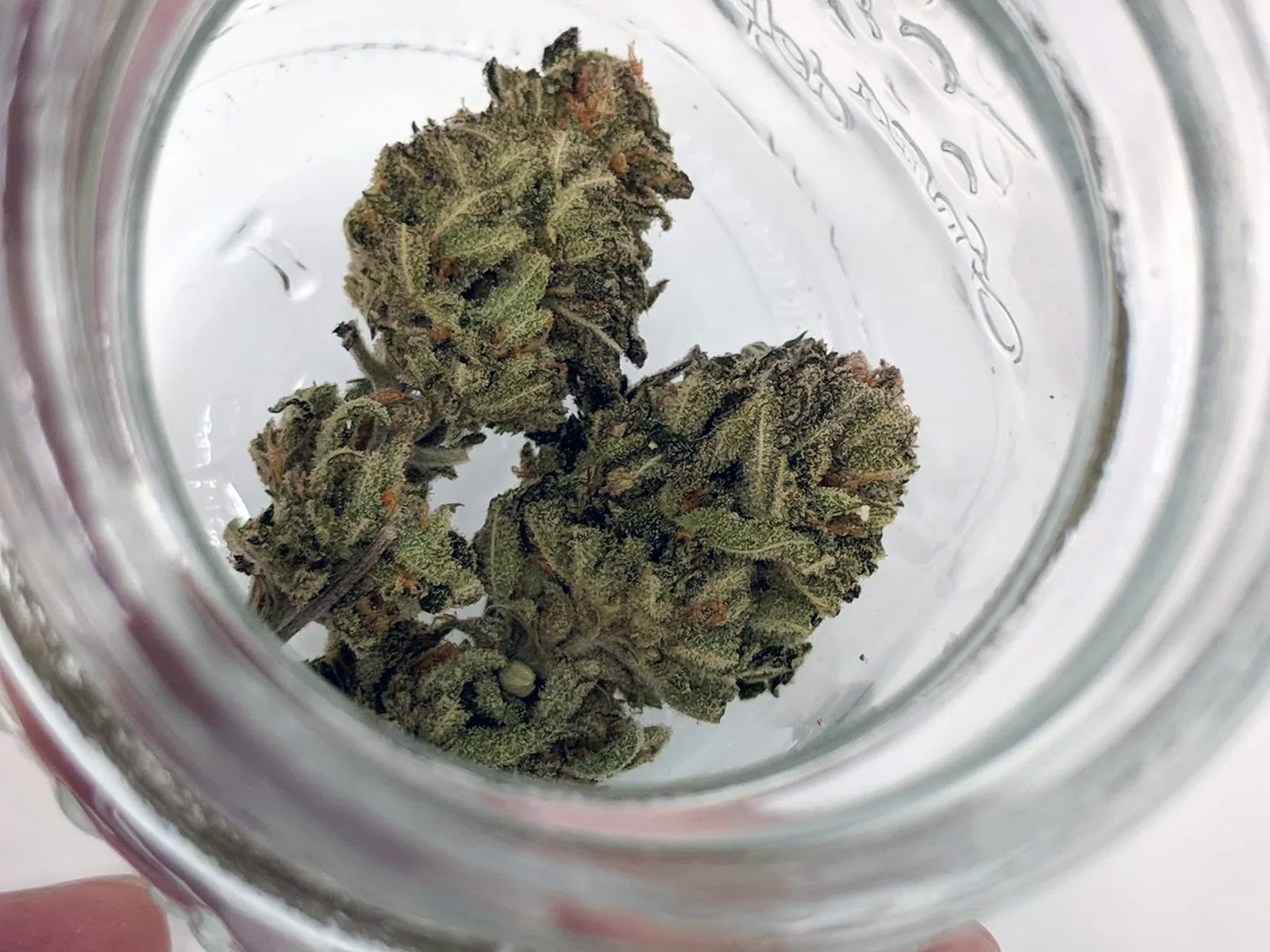Chocolate Mint OG cannabis flower from the original UK review archive.