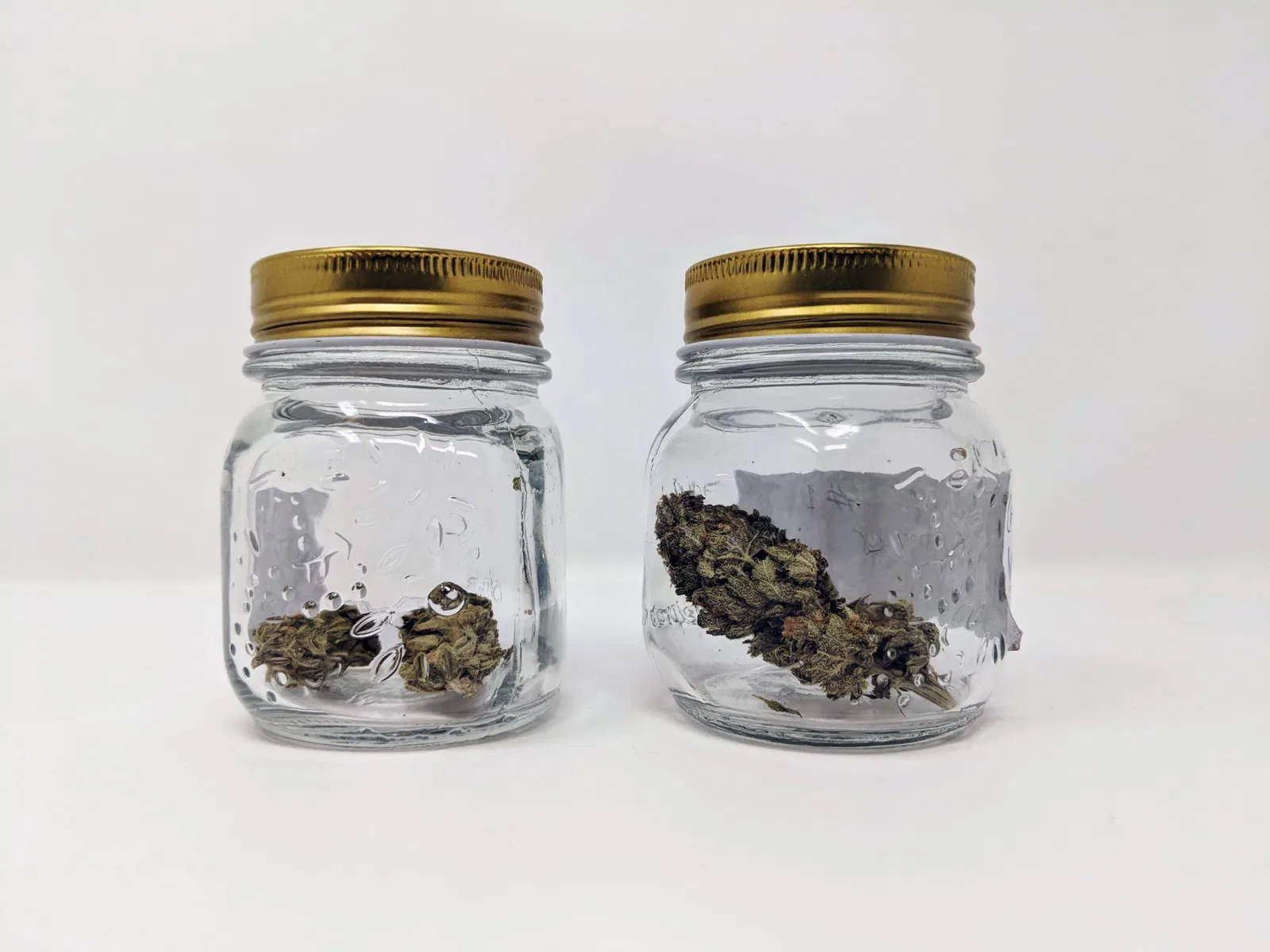 Chocolate Mint OG cannabis flower from the original UK review archive.
