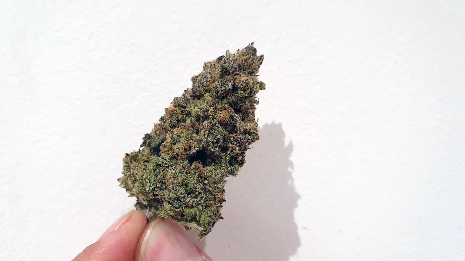 Chocolate Orange cannabis flower from the original UK review archive.