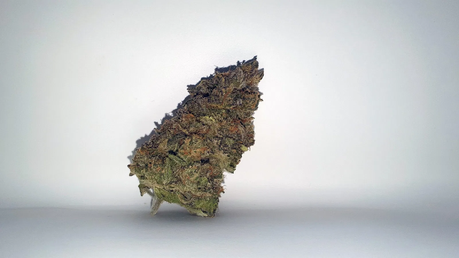 Chocolate Orange cannabis flower from the original UK review archive.