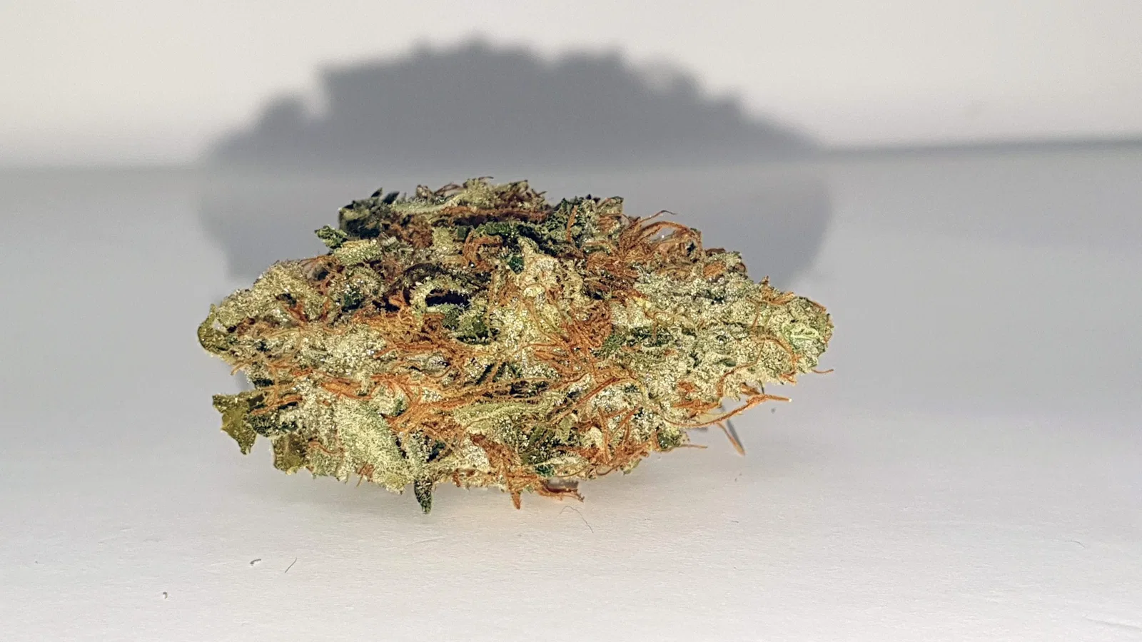 Chocolate Starfish cannabis flower from the original UK review archive.