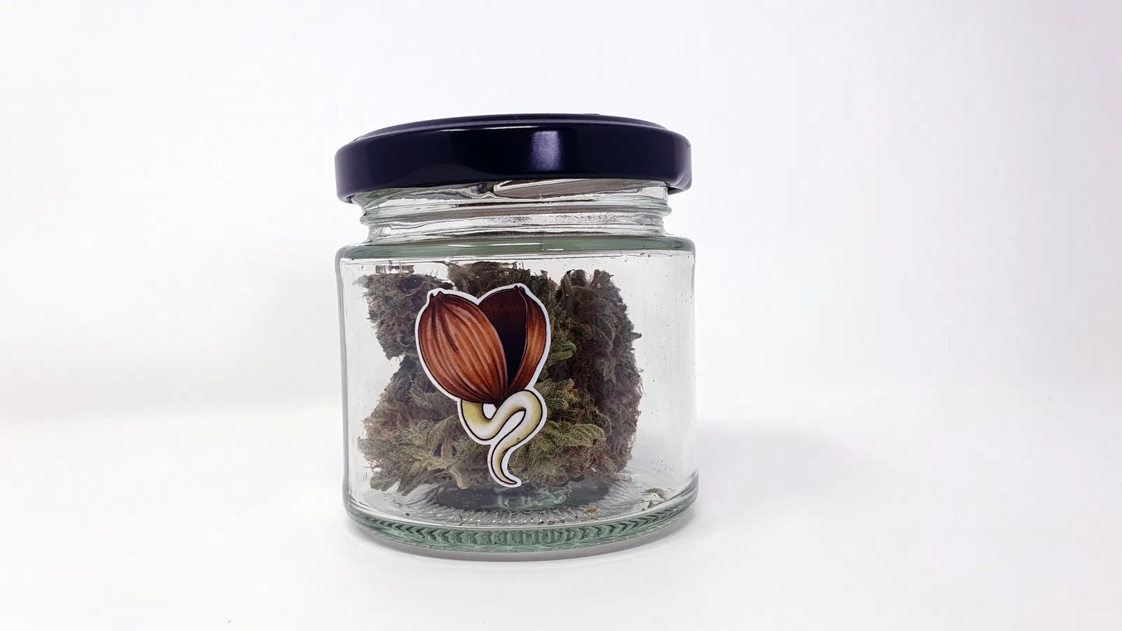 Chocolate Starfish cannabis flower from the original UK review archive.