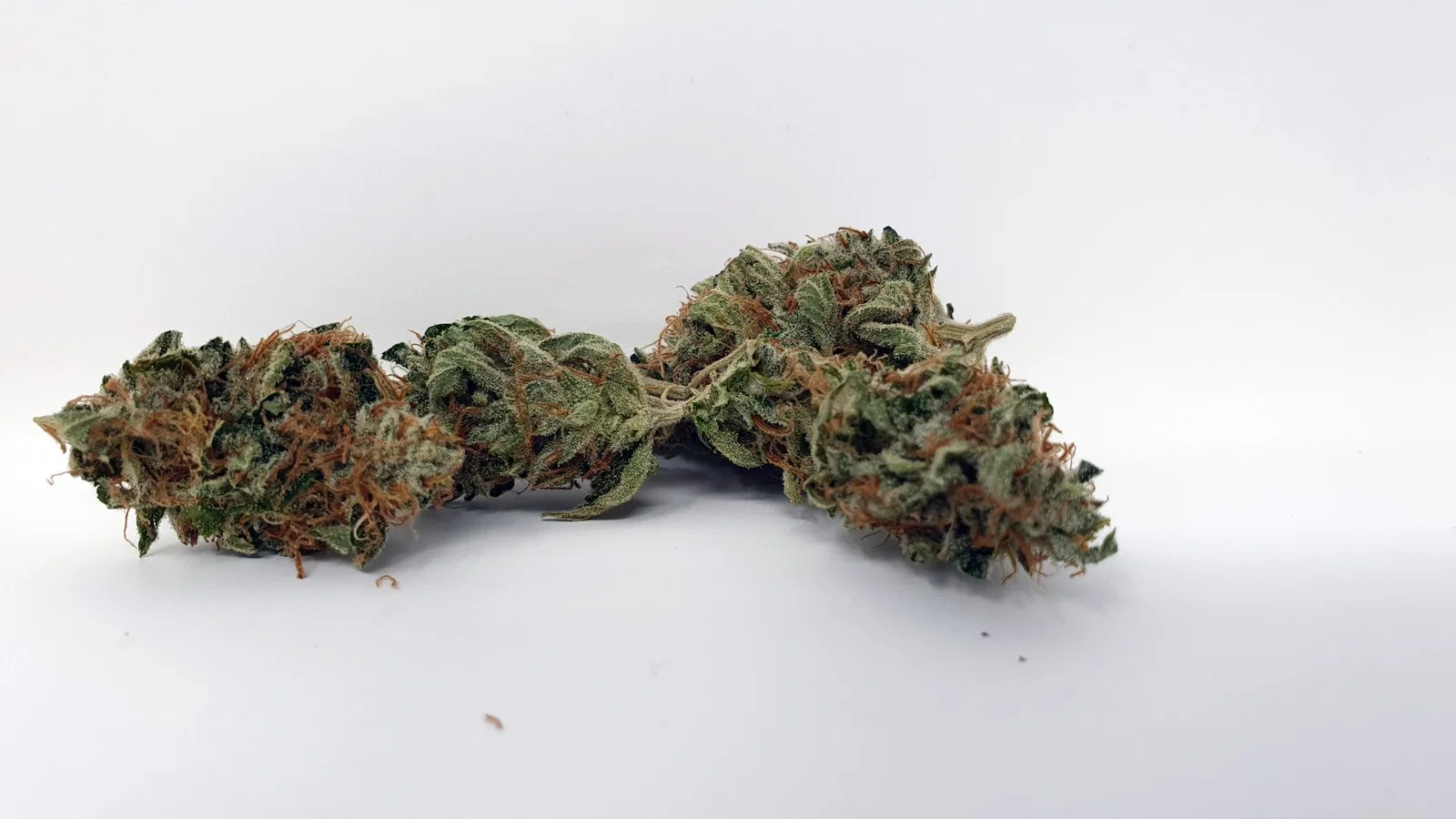 Chocolate Starfish cannabis flower from the original UK review archive.