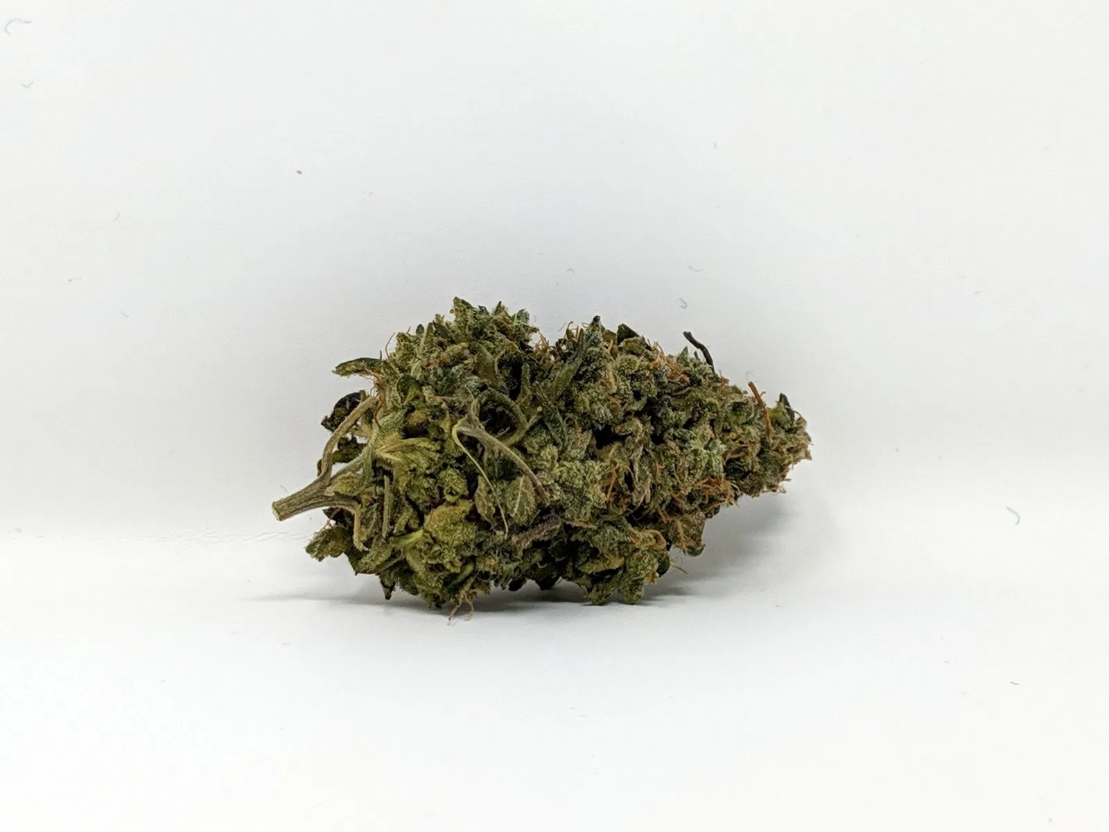 Colorado Chem cannabis flower, shown as a similar-cultivar reference for The White; not The White