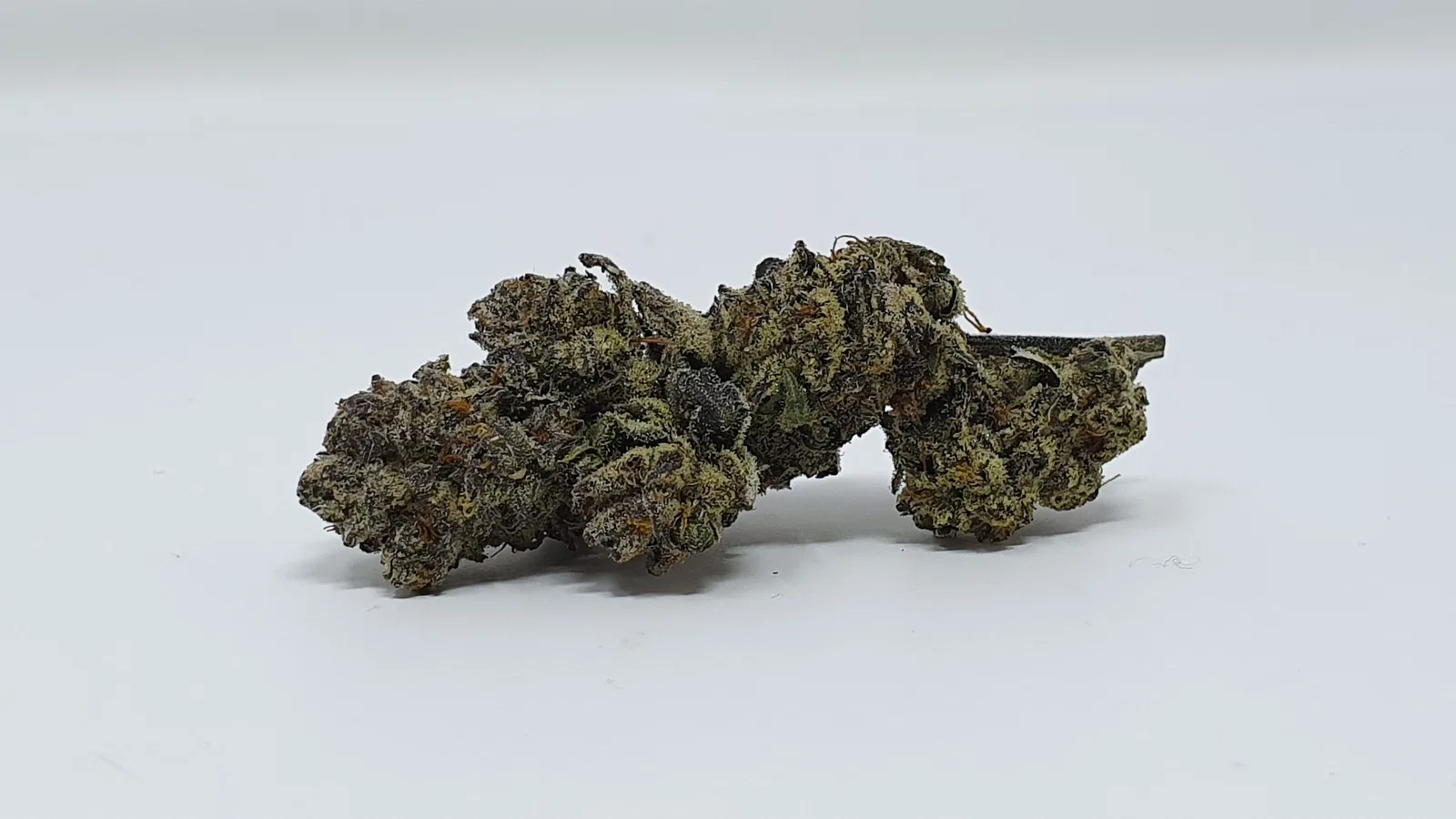 Cookies Zauce cannabis flower, shown as a similar-cultivar reference for Lemon Cherry Gelato; not Lemon Cherry Gelato