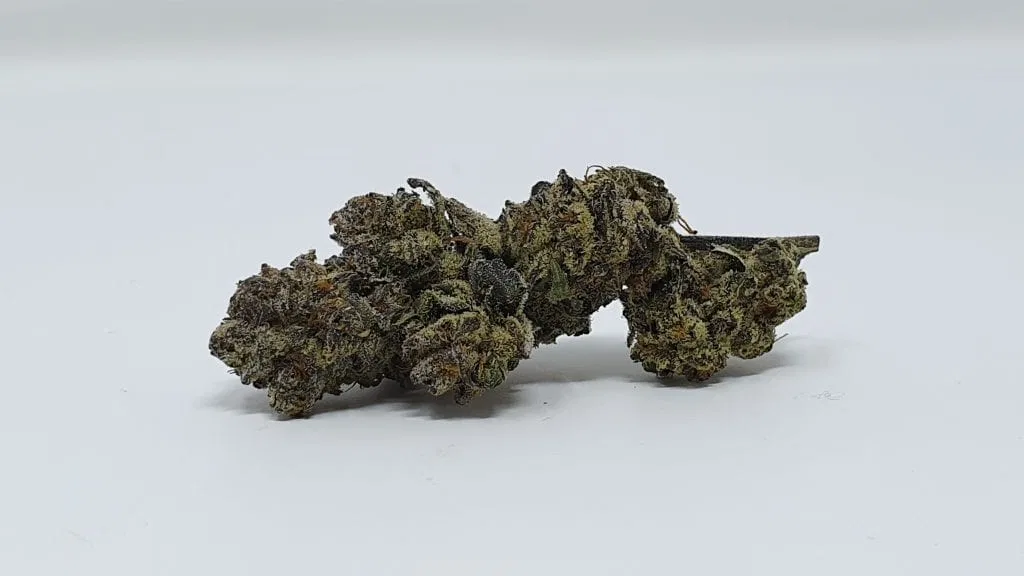 Cookies Zauce cannabis flower from the original UK review archive.
